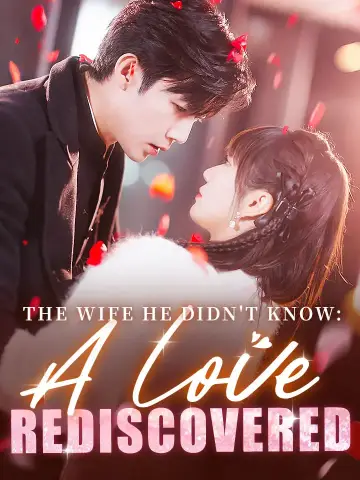 The Wife He Didn't Know: A Love Rediscovered poster