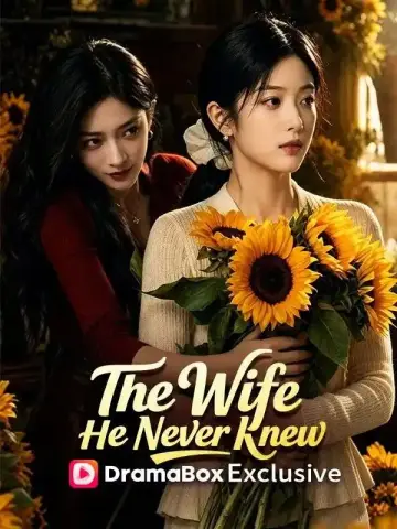 The Wife He Never Knew poster