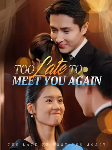Too Late to Meet You Again poster