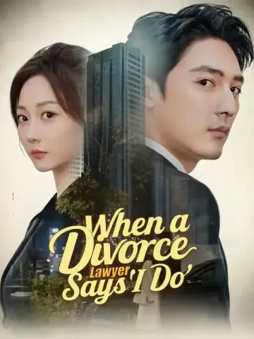 When a Divorce Lawyer Says 'I Do' poster