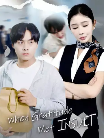 When Gratitude Met Insult poster