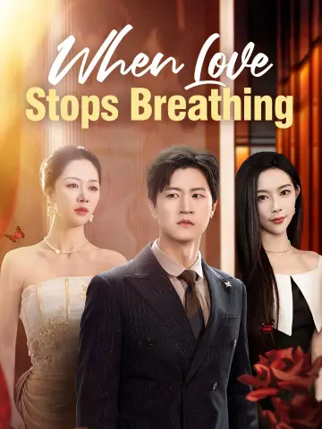 When Love Stops Breathing poster