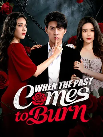 When the Past Comes to Burn poster