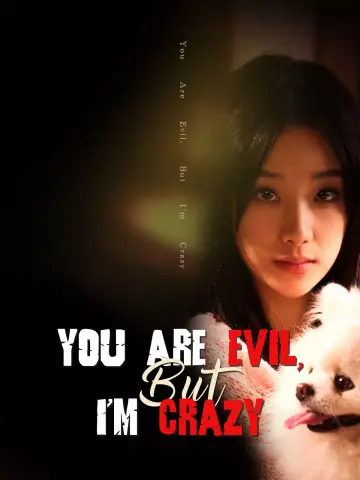 You Are Evil, But I'm Crazy poster